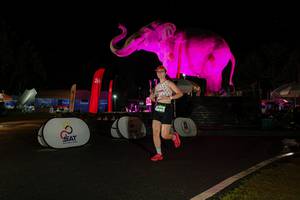 BIB: 
                            <button type="button" onclick="openModal(26535387)" class="btn btn-primary btn-sm float-right btn-popup" data-toggle="modal" data-target=".modal-high-quality">
                        <i class="fas fa-shopping-cart"></i> Add to Cart
                    </button>
                                            <button type="button" onclick="isThisMe(26535387, true)" class="btn btn-success btn-sm float-right btn-popup btn-isme hidden" data-toggle="tooltip" data-placement="bottom" title="นี่คือรูปของคุณใช่ไหม คลิกที่นี่เพื่อเอาเข้าอัลบั้ม">
                        <i class="fas fa-plus"></i> Add to album
                    </button>
                    <button type="button" onclick="isThisMe(26535387, false)" class="btn btn-warning btn-sm float-right btn-popup btn-isnotme hidden">
                        <i class="fas fa-ban"></i> Remove from album
                    </button>